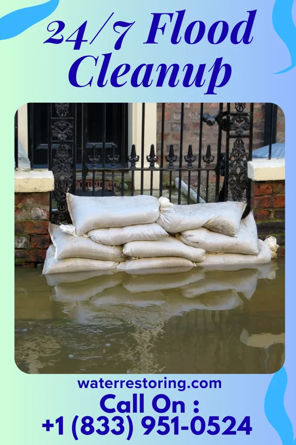 24/7 Flood Cleanup in Montgomery, GA