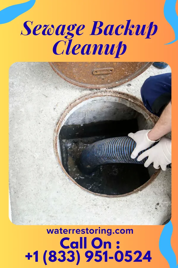 Sewage Backup Cleanup in Montgomery, GA